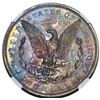 Image 4 : 1895 $1 Morgan Silver Dollar Proof Coin NGC PR62 Amazing Color
