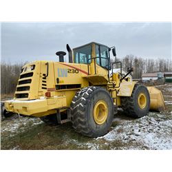 STURG.CNTY: 2001 NEW HOLLAND LW230 LOADER,