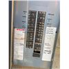 Image 3 : FT.MAC: TEMPORARY POWER PANEL C/W TWO 600 VOLT,