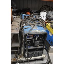 STURG.CNTY: MILLER TRAILBLAZER 301G GAS WELDER