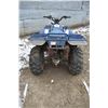 Image 6 : STURG.CNTY: POLARIS MAGNUM ATV