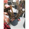 Image 1 : FT.MAC: ASSORTED BROOMS, SHOVELS, SCRAPERS