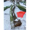 Image 2 : FT.MAC: LOT OF 2 SUCTION HOSE, 3IN X 20FT LONG