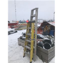 FT.MAC: 2 ASSORTED STEP LADDERS