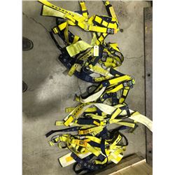 SH. PARK: LOT OF 5 SAFETY FULL BODY HARNESS