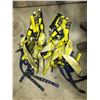 Image 1 : SH. PARK: LOT OF 4 SAFETY FULL BODY HARNESS