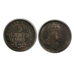 1903 Newfoundland Five Cents-ICCS VF20