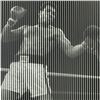 Image 2 : Happy Birthday Champ by Mr Brainwash