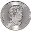 Image 2 : 2017 Canada $8 1.5oz. Super leaf .9999 Fine Silver. (TAX Exempt)