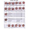 Image 4 : 1920-2012 Canada 1-cent Collection uni-safe brown album . You will receive one of each date  from 19