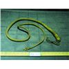 Image 1 : Bull Whip 61" L