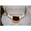 Image 1 : Mounted Steer Horns