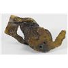 Image 11 : Collection (8) Small Viennese Bronze Dog Figurines
