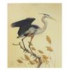 Image 2 : Guy Coheleach (b. 1933) American, Heron Print