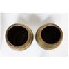 Image 6 : Pair of Chinese Pots with Dragons