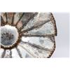 Image 2 : 18th Century Reflector