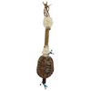 Image 1 : Southwestern Turtle Scepter