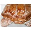 Image 9 : Ceramic Turtle Figure
