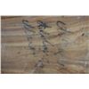 Image 14 : Early 19th C. Chinese Camphor Wood Trunk
