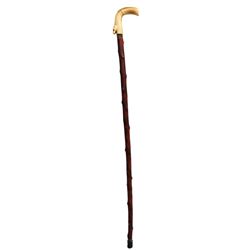 Antique Cane w/ Carved Dog's Head on Handle