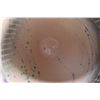 Image 8 : Painted Ceramic Pottery Vase