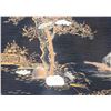 Image 9 : Chinese Wooden Tray