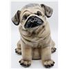Image 3 : Ceramic Pug Cookie Jar