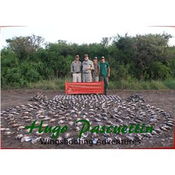 Argentina Bird Hunts