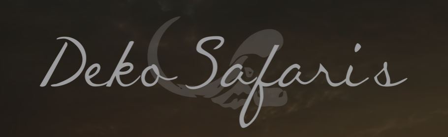 Deko Safaris
