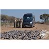 Image 2 : Dove Shooting in Argentina