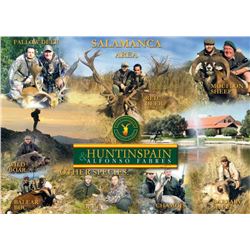 Hunt in Spain