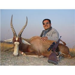Kido Safaris