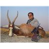 Image 1 : Kido Safaris