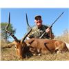 Image 2 : Kido Safaris