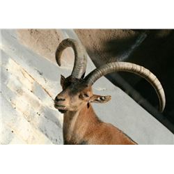 La Espedella Hunting in Spain