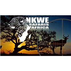 NKWE Safaris