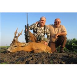Safari Art Roe Deer