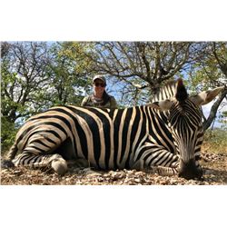 Wild African Safaris