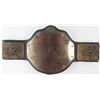 Image 3 : The Undertaker Signed World Heavyweight Wrestling Champion Belt (JSA COA)