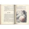 Image 3 : Roald Dahl James and the Giant Peach 1st Edition