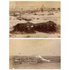 Image 1 : Two Original 1891 Wounded Knee Massacre Photos
