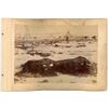 Image 2 : Two Original 1891 Wounded Knee Massacre Photos
