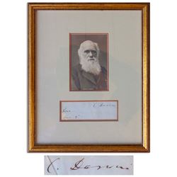 Charles Darwin signature on a slip, signed ''C. Darwin''