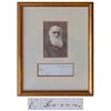 Image 1 : Charles Darwin signature on a slip, signed ''C. Darwin''