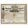 Image 2 : American Express Stock Signed by William Fargo
