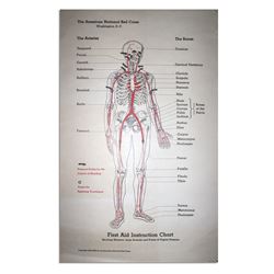 American Red Cross First Aid Instruction Chart Poster