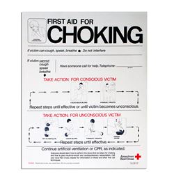 CPR. First Aid for Choking Vintage Red Cross Poster