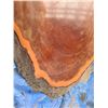 Image 2 : Burl Table Top Cat C