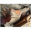 Image 2 : Burl Coffee Table Cat A