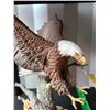 Image 2 : Eagle